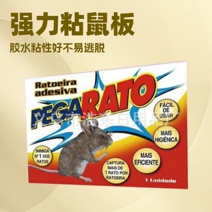 123 Sticky Mouse Sticky Mouse Board Mouse Stickers Mouse Glue Mouse Board Good Quality from Guinea and Other African Countries