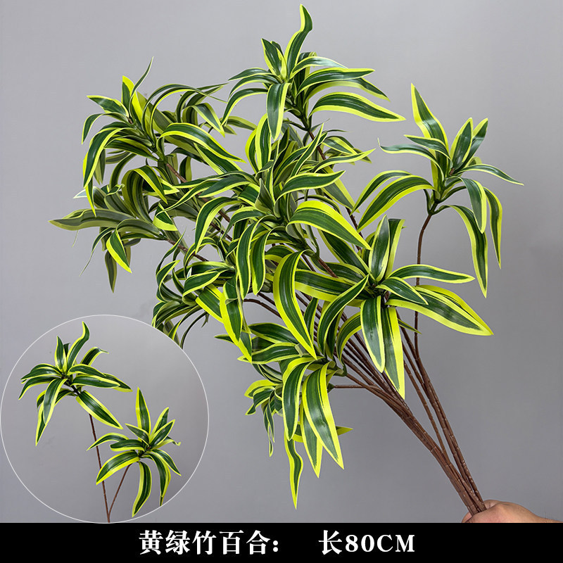 Bamboo lily