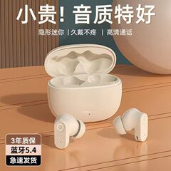 德国柏林之声无线蓝牙耳机降噪高音质高颜值2025新款运动超长续航