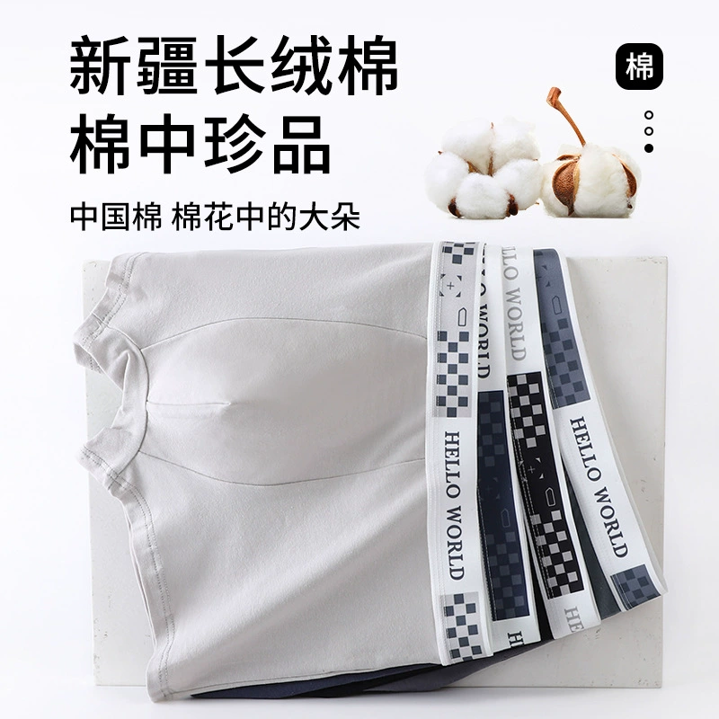 Cotton trend underwear, antibacterial pants