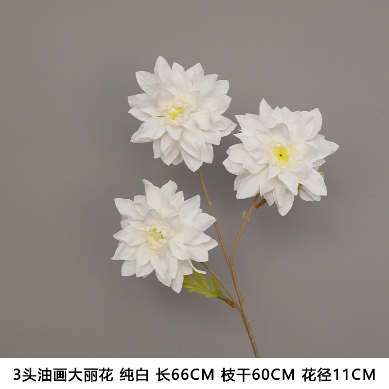 3 Oil painting Dalihua pure white