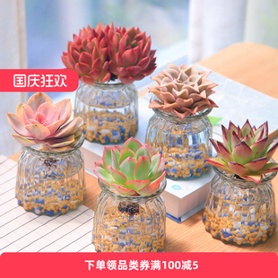 ��ߴ�ˮ�����ֲ���ײͺ��B�ͻ��k���Ҷ������ԟo������ֲ��Gֲ