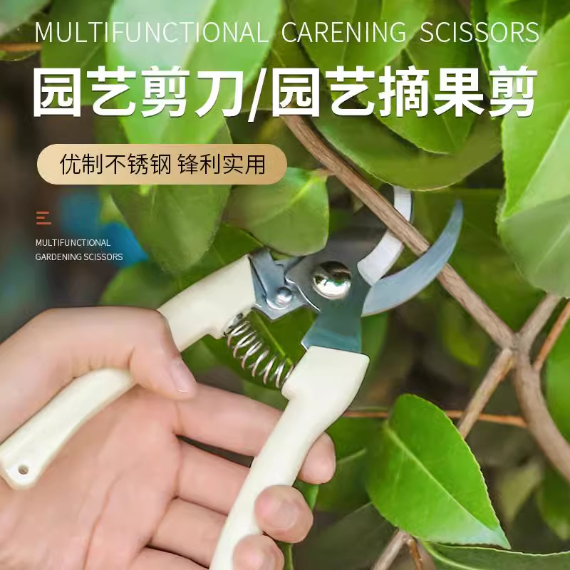 果树剪刀修枝摘果剪树剪花卉枝剪刀嫁接园林园艺家用修剪剪枝