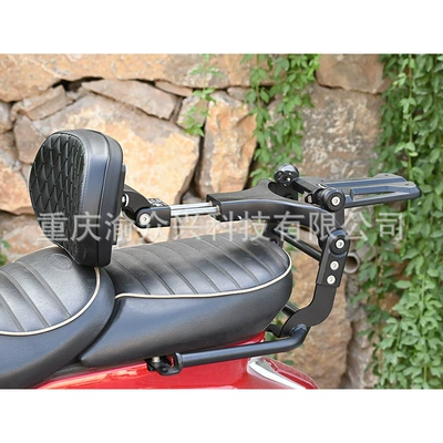 alloy driver passenger lumbar – Motorcycle tail