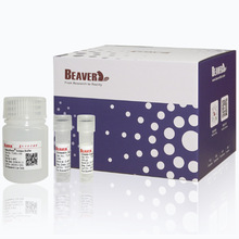 70433-100����RNA��ȡԇ���Пo�̼��Ԛ�ζԇ���o���ȷµ��ЙC�܄�