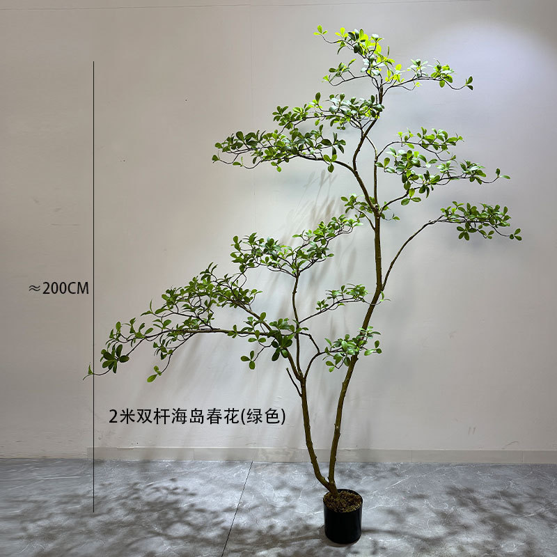 シミュレーション緑植物トップ 10 の功績島春の花クチナシの木植物造園ホーム屋内窓装飾木の装飾品|undefined