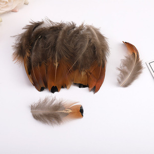 �S�����l���u��ëɽ�u���cDIY���b�o�ϻ�c��ë