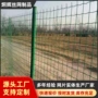 定制养殖养鸡仓库荷兰网