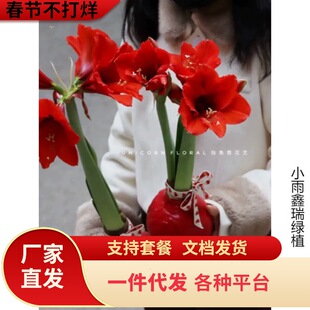 һ�����l�����F؛ �M�ڷN���Ϟ��피tϞ��Y�� �o��ˮ�������̨