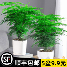 ��������ֲ���҃ȃ����՚��k�����辰�ļ�����С���ԾGֲ��������