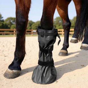 �R���ί����R�o���R���ӽ��ݴ��R�����ѥ�o��Ͱ���R�㲡�R�g��Ʒ
