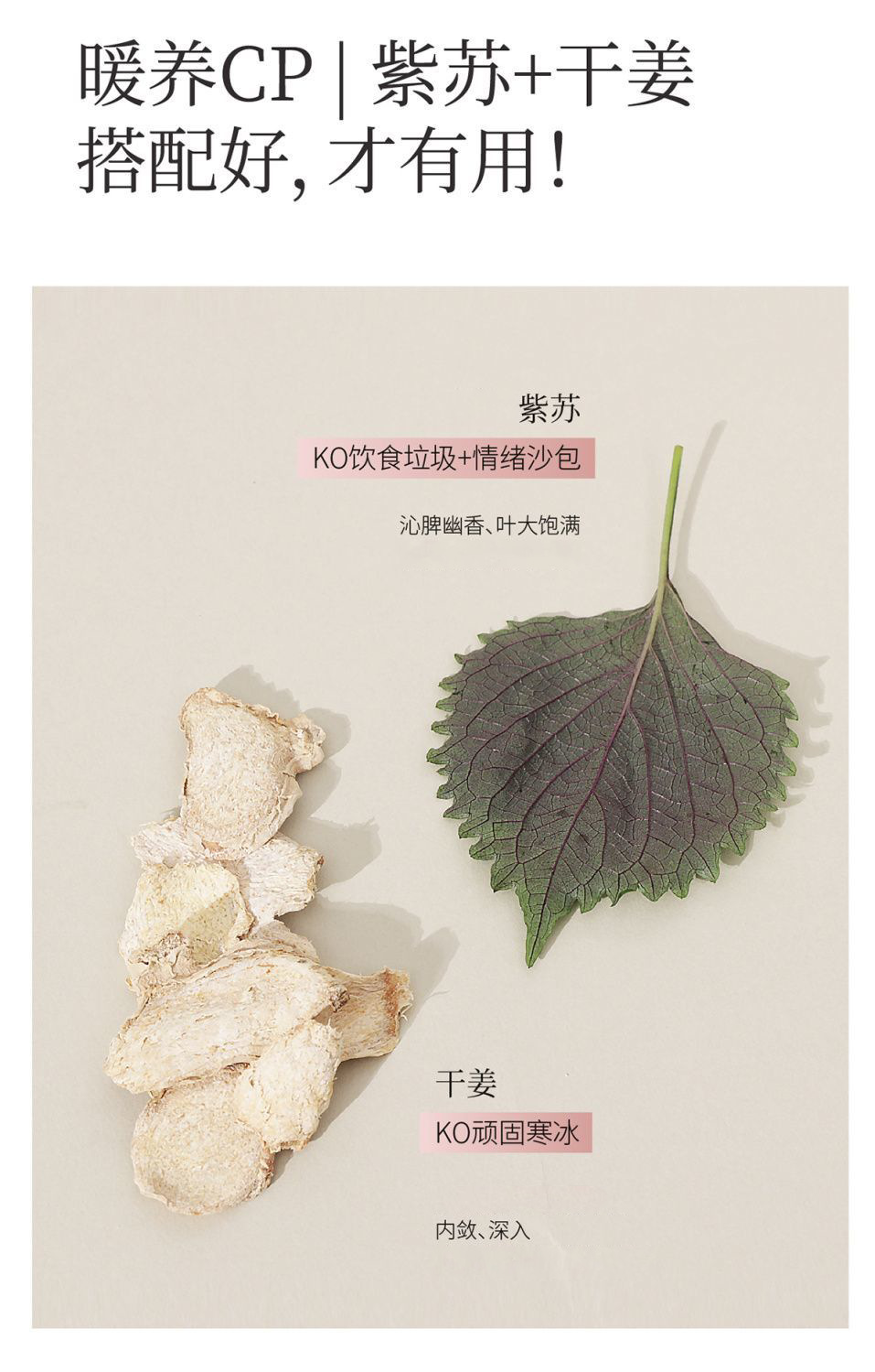 Zisu Taozi Ginger Tea 75g Perilla Peach Ginger Blend with Coix Seed Mulberry Tangerine Peel 15 Individual Sachets Hot or Cold Brew in use