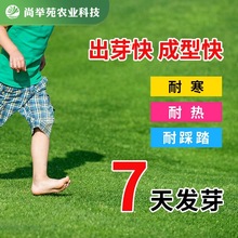 ��ƺ�N�ӻ첥�ļ�������ݹ���������̸���é���ɷf�o�¹����G��