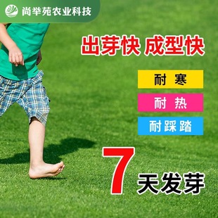 ��ƺ�N�ӻ첥�ļ�������ݹ���������̸���é���ɷf�o�¹����G��