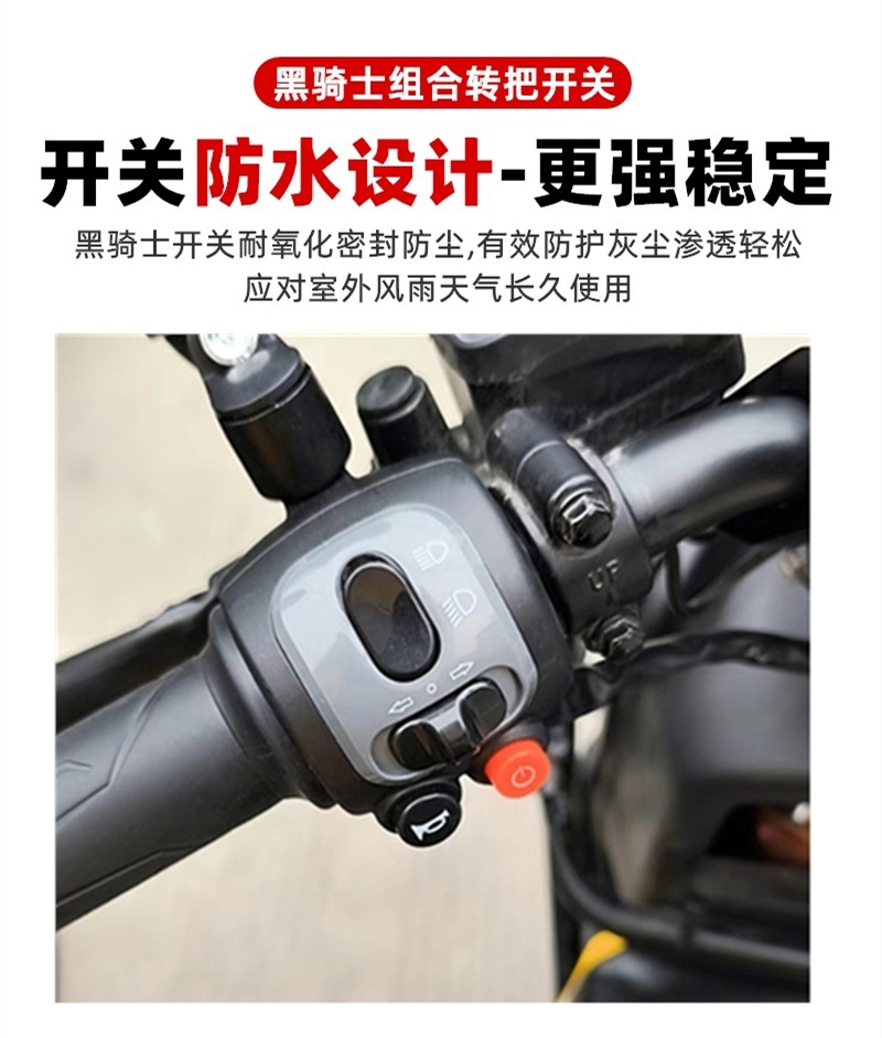 Electric Racing Pigeon Black Knight A10/B2/B3Plus Combination Switch Horn Start Dual Flash Gear Shift Handlebar Assembly