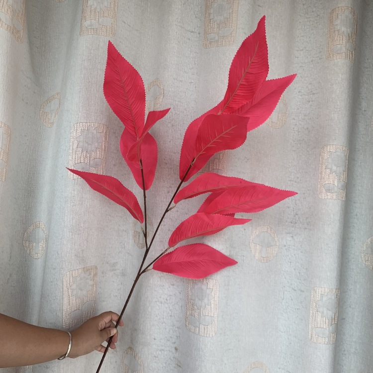 微信图片_20230920144509_副本