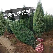 ���ؾG���u���糣�������ͺ��ļ����G�L��ͥԺ�Ȱ������ɰؘ���