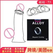 ��Ƥ��ͭh���b������o�h����Ȥ��Ʒ�������`�������l���{���έh