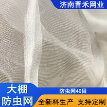 大棚防虫网厂家现货批发40目果树种植耐用防蚊防护盖网网格植物