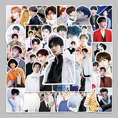 50 pieces of Fan Chengcheng's personalized DIY decorative sticker luggage laptop skateboard graffiti stickers