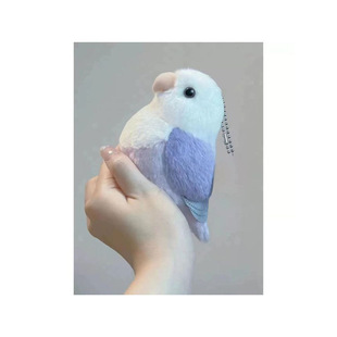 ����С�B��A������ɐ���ż����耳׿����W�^ë�q���������