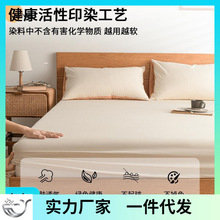 纯棉床笠单件床罩床垫保护罩2024新款单人床单三件套长绒棉