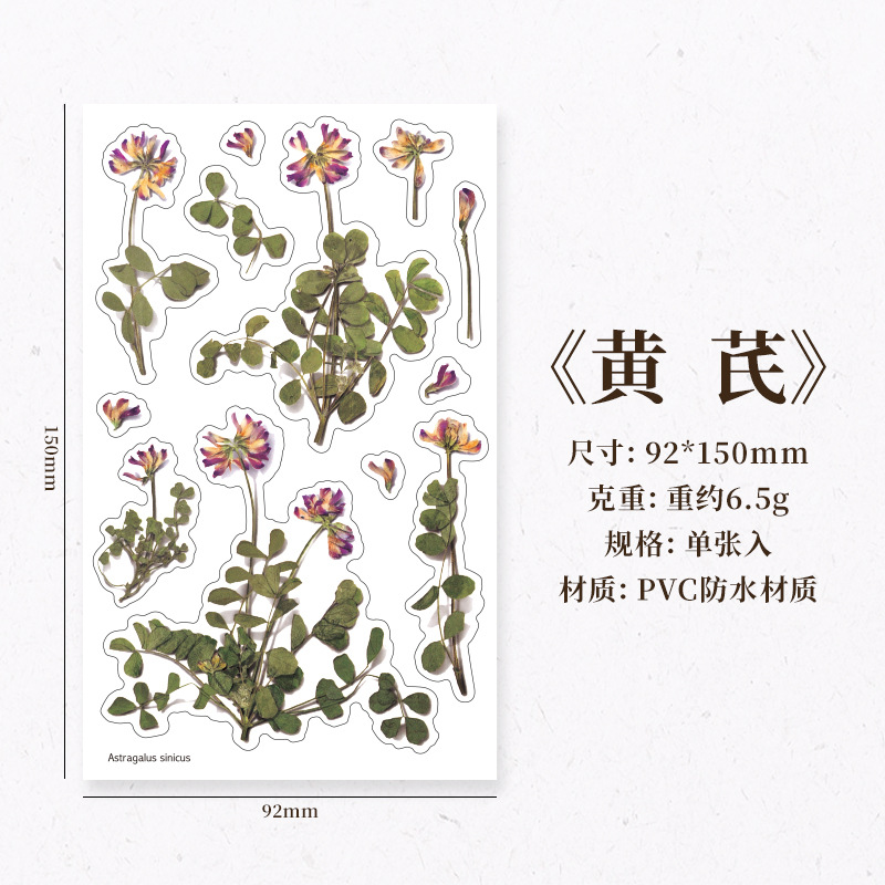 Corea del Sur papelería creativa flor artificial transparente PVC pegatinas flor planta diario libro Diario decoración taza de agua pegatinas