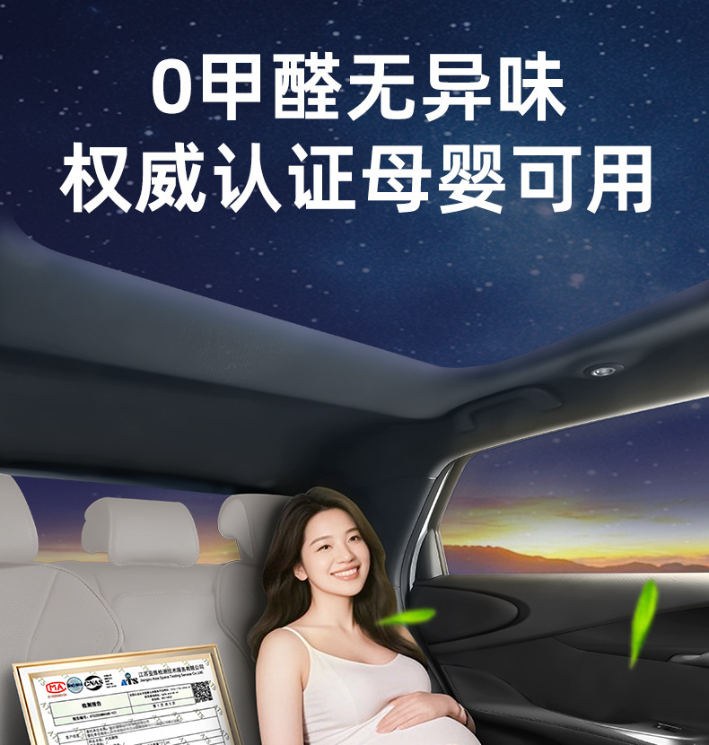 Suitable for Ora 5 Models, Waterproof and Dustproof Car Interior Accessories, Environmentally Friendly Double-Layer Ora 5 Floor Mats