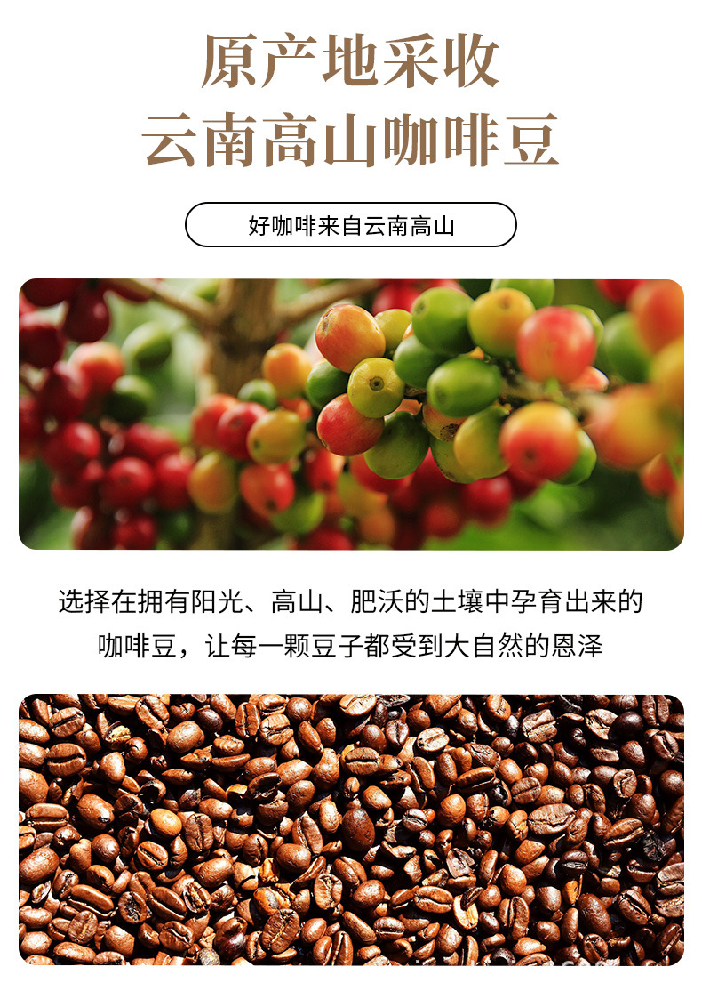 咖啡豆2口味详情_04.jpg