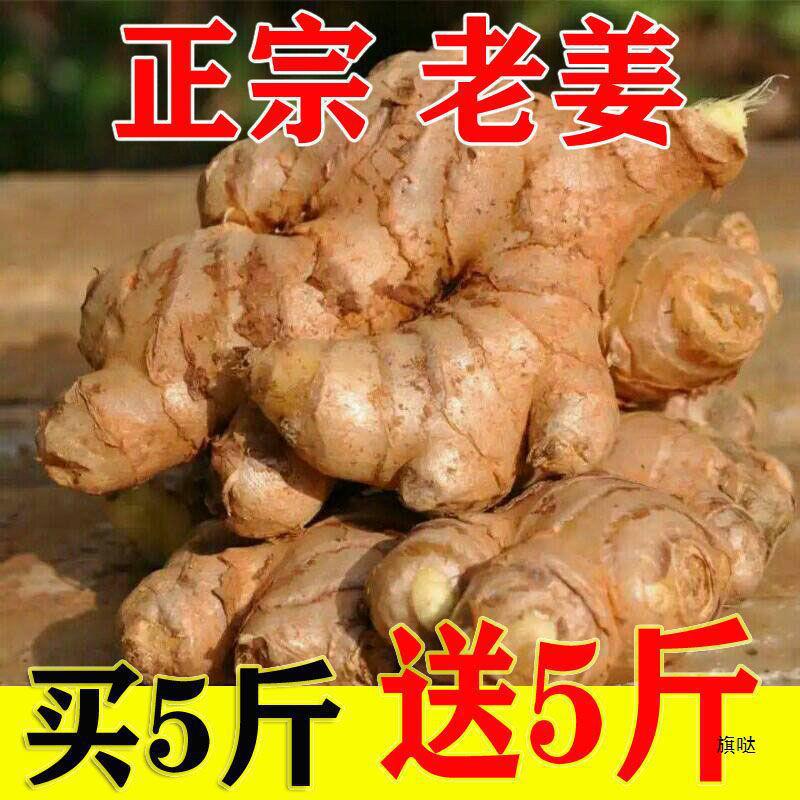 子姜老批发姜土生姜老姜姜月黄姜小黄姜包邮食用大黄姜母云南