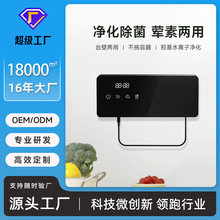 果蔬消毒羟基电解净化水果机挂壁式家用食材净化器杀菌农残除菌