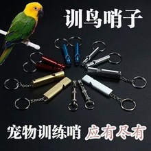 Ӗ����Ʒ�p�ܽ���ӖȮ�ѹ����l��������Ӗ�B�W�^���ӷ��w���ӿ���