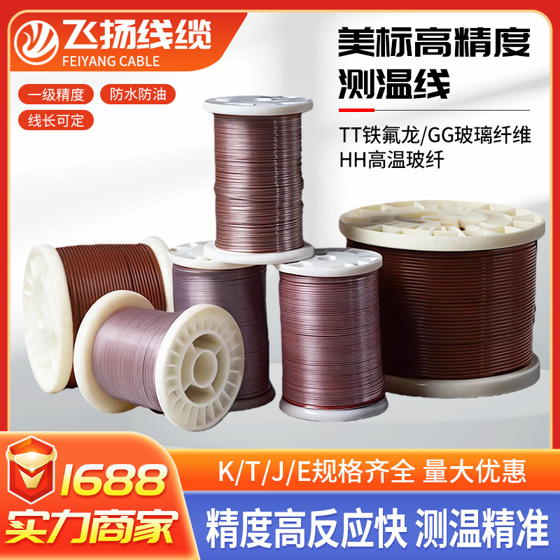 美标K型感温线测温线 TT-K-30 热电偶t补偿GG-K/T-30/36/24-SLE