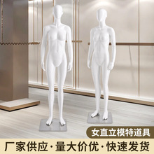 ��������Ůģ��ȫ���������wչʾ�ܙ���ģ�ؼܷ��b����˷��b����