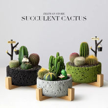 ̫�ռy���W�tˮ����⻨��ins�����������茒�������k������[��