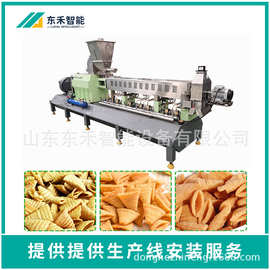 厂家供应奇多薯条生产线 油炸视频生产设备 薯条薯片制作流水线