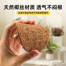 花盆底孔垫网椰丝盆景园艺种花工具沥水垫片花盆底部垫高透气垫片