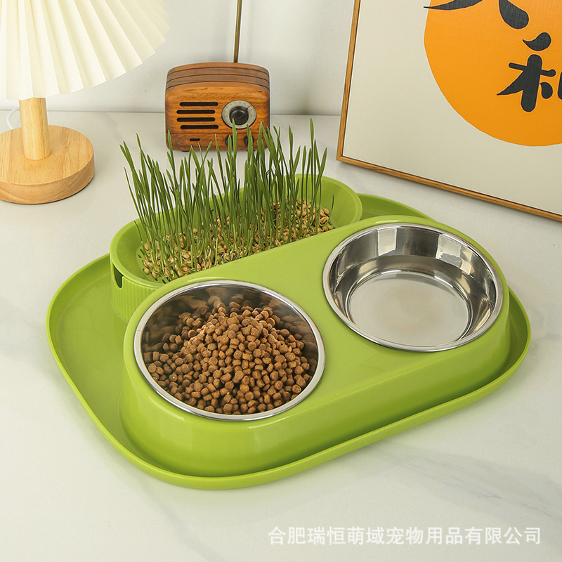 Nuevo estilo transfronterizo caja de hierba para gatos hidropónica, bocadillos para gatos, menta para gatos, plantación hidropónica sin suelo, juego de maceta de hierba para gatos, caja de hierba para gatos