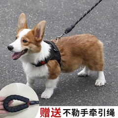 Dog Harness Back Support Harness for Small and Medium Dogs, Terrier, French Bulldog, Corgi, Walking Leash, Pet Ginger Tea