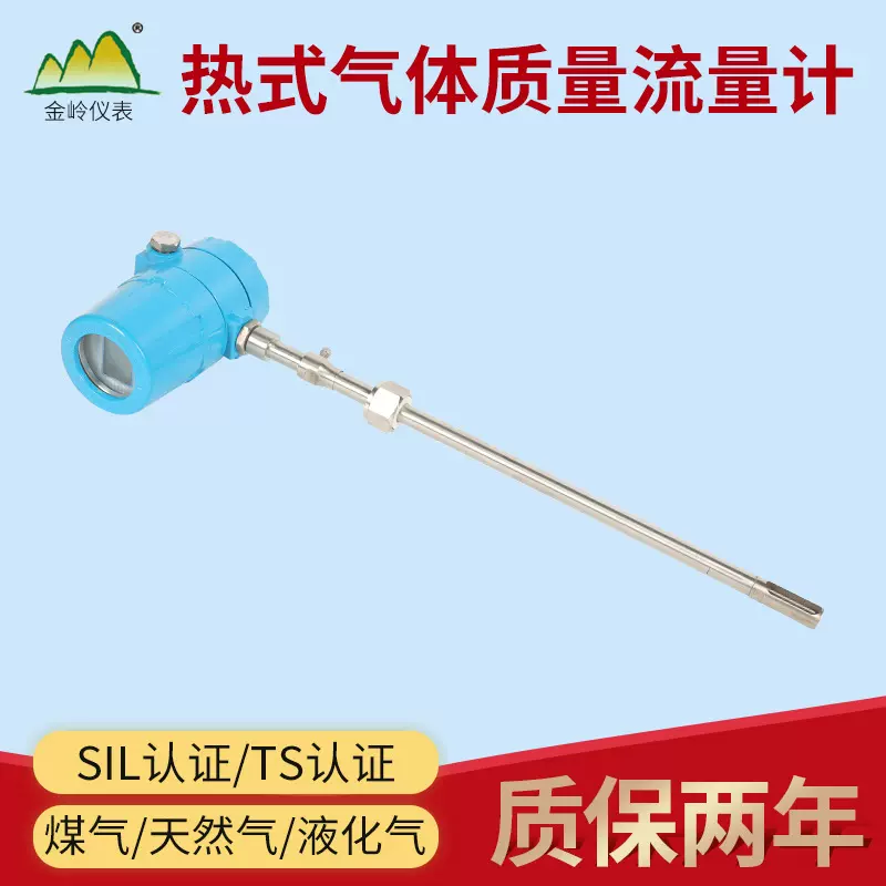 热式气体质量流量计天然气氧气氢气压缩空气流量计气体质量流量计