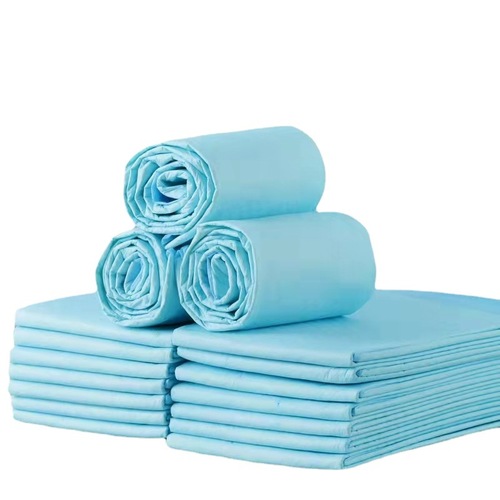 Pet Pads Bulk Thickened Deodorizing Dog Urinary Pads Diaper Underpads Wet Nappies Baby Products Absorbent
