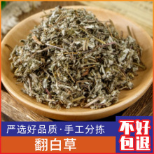 广西野生翻白草中药材500克新鲜干货番白草整根 番白草段正品