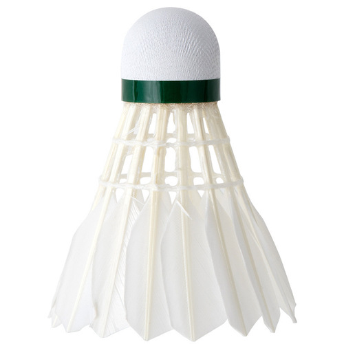 Deli Angelite F2201 resistant elastic sports training badminton 6 pieces badminton set wholesale