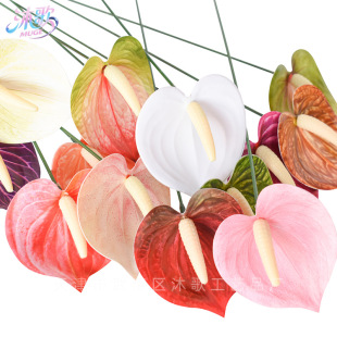 ���Sֱ��ins�L3d��ӡ�ָмt�Ʒ��滨diy��ˇ�廨�͏d�����bٻ�
