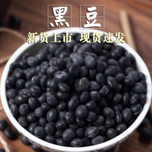 【现货速发】黑豆1斤青仁乌豆绿芯黑豆中粒非转豆浆原料黑豆腐