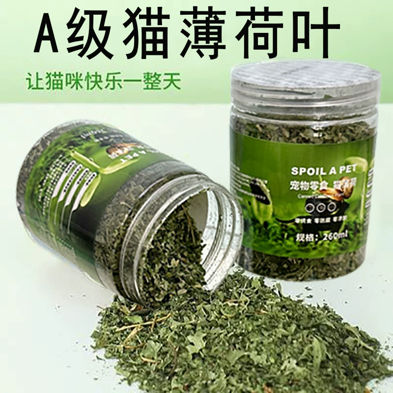 Кошачья мята Кошачье вино помогает шерстяным шарикам Съедобные закуски Кошачья трава Порошок Кошачья мята Чистый рот Натуральные забавные игрушки для кошек