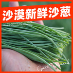 【顺丰快递】沙葱新鲜甘肃民勤特产现摘沙葱5斤新鲜蔬菜保温批发