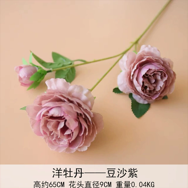 Peony bean paste purple