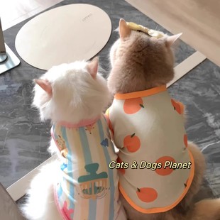 Cat Clothes Summer Breathable Thin Mesh Sun Protection Clothing Blue Gold Gradient Ragdoll Kitten Dog Anti-Shedding Two-Legged Clothing