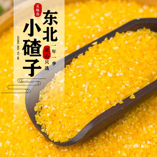 �|���������ּZ�����w���C�^�����